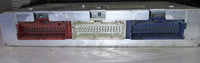 8162429191 Honda Passport or Isuzu Rodeo 1998-1999 pcm ecu ecm computer - Swan Auto
