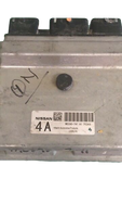 44801891