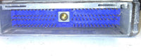 1U7A-12A650-BLB ecm ecu computer 2001 Ford F150 F-150 **TESTED** - Swan Auto