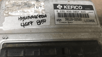39110-22560 ecm ecu computer Hyundai - Swan Auto