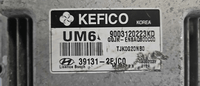39131-2EJC0 Hyundai Elantra 2014 ecm ecu computer - Swan Auto