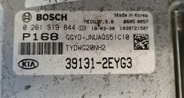 44993305