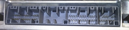 44801981