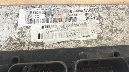 P56031014AD Dodge Dakota 2004 ecm ecu computer