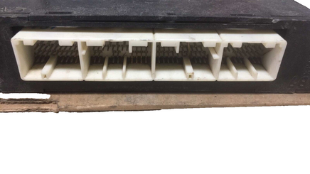 44041361