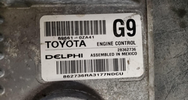 44999502