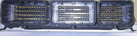 NEC022-018 ecm ecu computer 2016-2017 Nissan NV1500 or NV2500 - Swan Auto