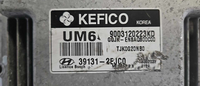 39131-2EJC0 Hyundai Elantra 2014  ecm ecu computer