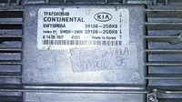 45431294