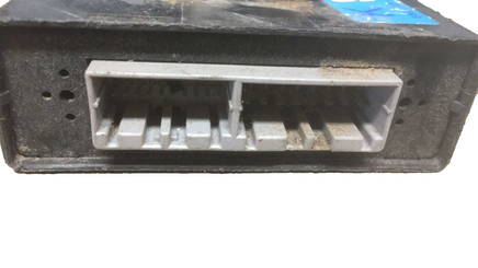 45999407