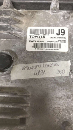 44055847