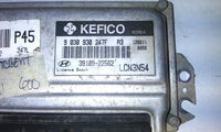 39109-22562 ecu ecm computer 1999-2006 Hyundai Accent