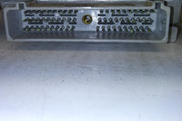 44800388