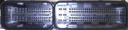 45431206