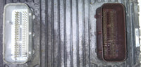 47458104