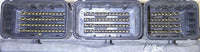 DEA010-050 ecm ecu computer 2011 Nissan Juke