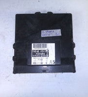 44981555
