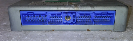 44819906