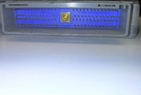 44808431
