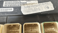 P04686921AG Dodge Caravan or Chrysler Voyager ecm ecu computer - Swan Auto