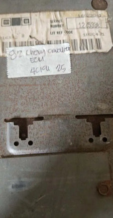 1225330 Chevy Cavalier or Buick Century 1982 ecm ecu computer