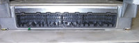 44813553