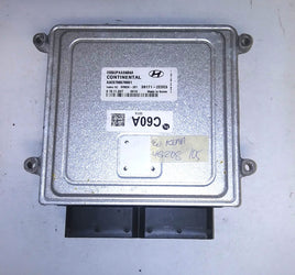 45431204