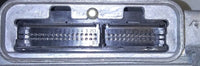 43691025
