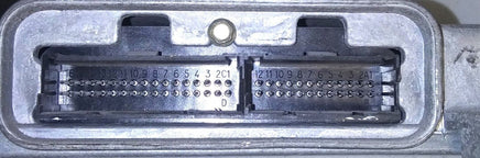 43691025