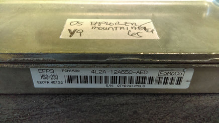44810068