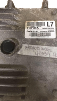 45428246