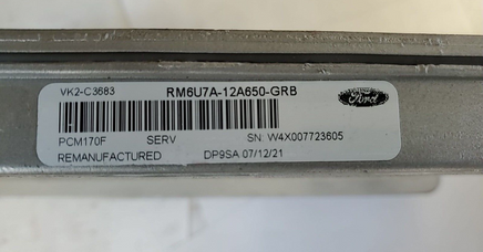 2006-2008 Ford Econoline van ecm ecu computer RM6U7A-12A650-GRB