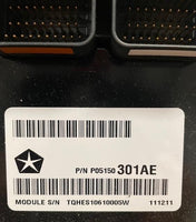 45428202