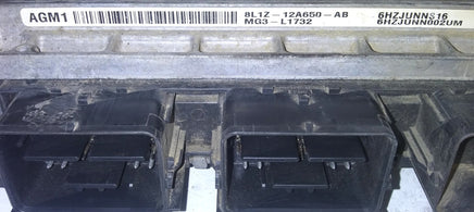 8L1Z-12A650-AB ecu ecm computer 2008 Ford Expedition **TESTED**