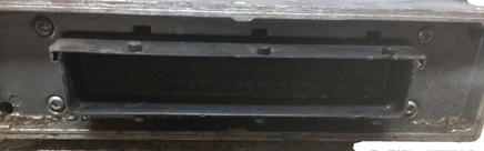44089505