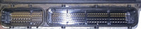 47497681