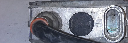 45431329