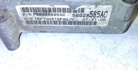 44981977