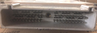 44810031