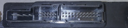 44117534