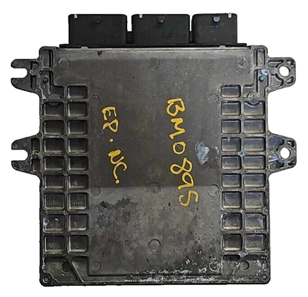 44808556