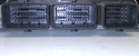 44819313
