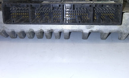 44081700
