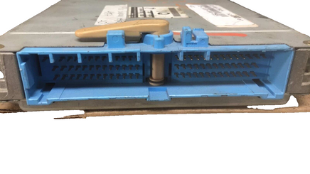 44205351