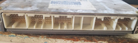 2004-2005 Lexus ES330 ecm ecu computer 89661-33B30