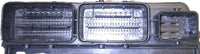 47359254