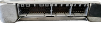 44620114