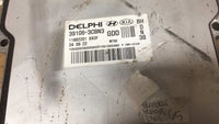 43691253