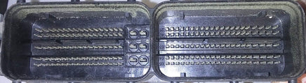 44311119
