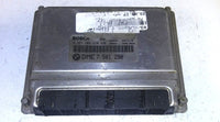 44204951